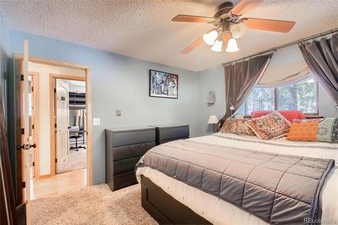 11117 Wallace Ave, Conifer, CO 80433 photo 10