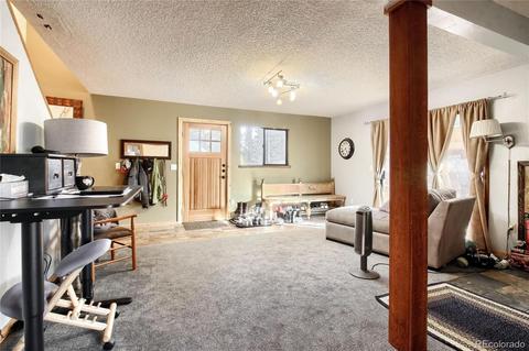 11117 Wallace Ave, Conifer, CO 80433 photo 15