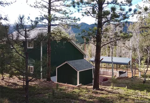 10 Bartimous Rd, Bailey, CO 80421 photo 3