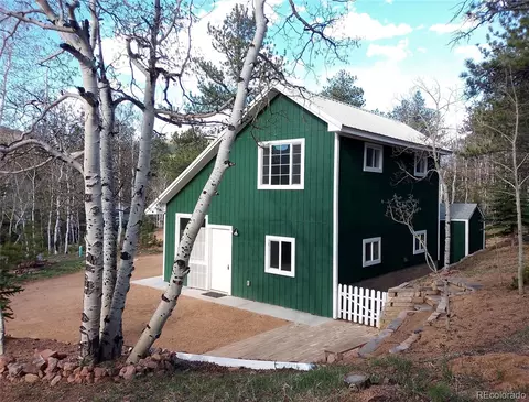 10 Bartimous Rd, Bailey, CO 80421 photo 2