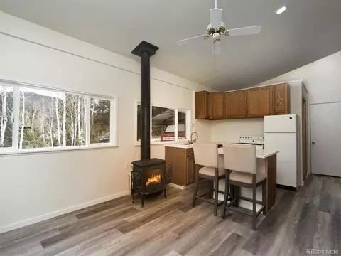 10 Bartimous Rd, Bailey, CO 80421 photo 6