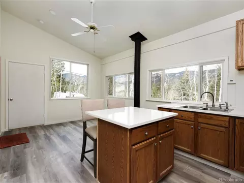 10 Bartimous Rd, Bailey, CO 80421 photo 5