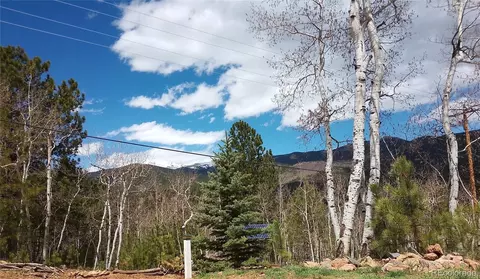 10 Bartimous Rd, Bailey, CO 80421 photo 16