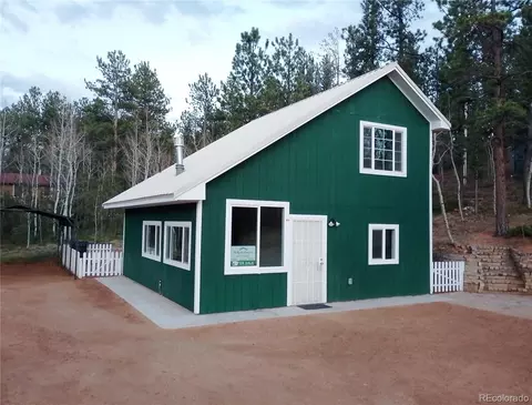 10 Bartimous Rd, Bailey, CO 80421