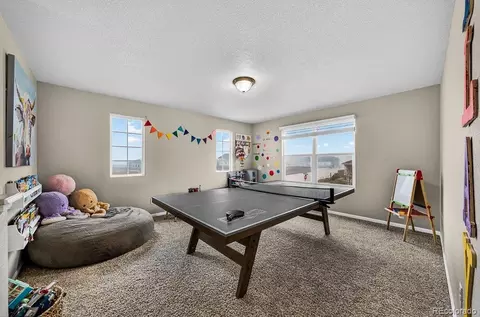 Other - 10087 Beckham St, Peyton, CO 80831 photo 5 of 5