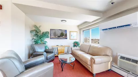 1029 E 8th Ave #501, Denver, CO 80218 photo 22