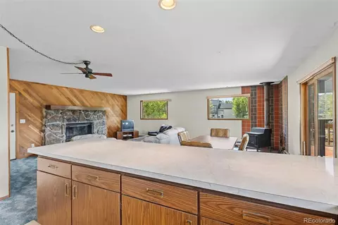 Other - 143 Meadow Dr, Dillon, CO 80435 photo 5 of 8