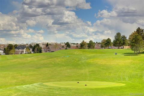 7768 Edgewater Ct, Lone Tree, CO 80124 photo 38