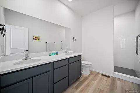 Bath - 9939 Hidden Ranch Ct, Peyton, CO 80831 photo 1 of 3