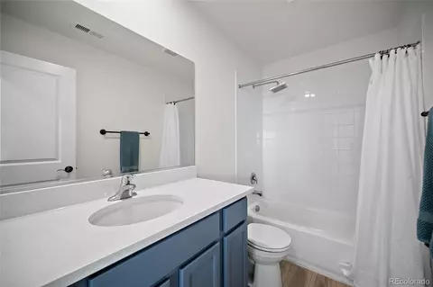 Bath - 9939 Hidden Ranch Ct, Peyton, CO 80831 photo 3 of 3