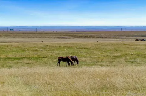 35 Acre Parcel #LOT 38, Rush, CO 80833 photo 28