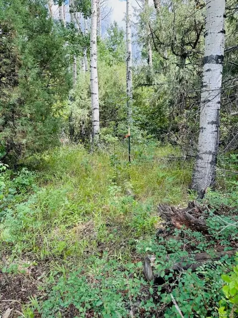 216 Colima Pl, Mosca, CO 81146 photo 14