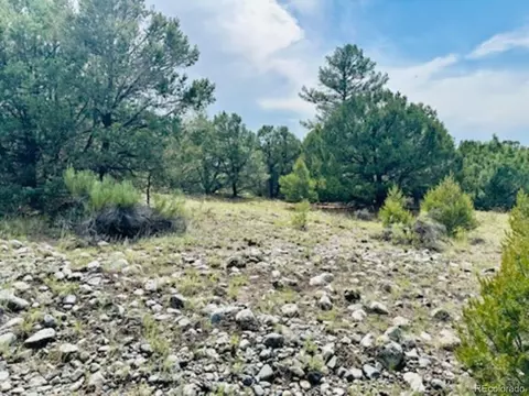 216 Colima Pl, Mosca, CO 81146 photo 4