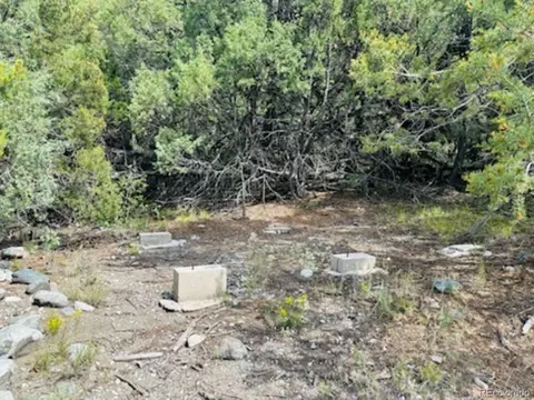 216 Colima Pl, Mosca, CO 81146 photo 3
