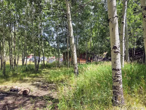 Exterior - 604 N Pine Dr, Bailey, CO 80421 photo 6 of 6
