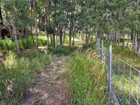 Exterior - 604 N Pine Dr, Bailey, CO 80421 photo 5 of 6