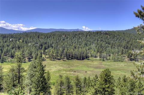 64441 Us Highway 285, Bailey, CO 80421 photo 7