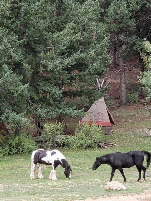 64441 Us Highway 285, Bailey, CO 80421 photo 4