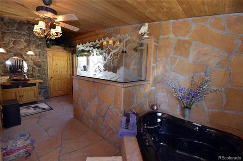 64441 Us Highway 285, Bailey, CO 80421 photo 13