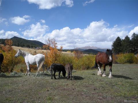 64441 Us Highway 285, Bailey, CO 80421 photo 5