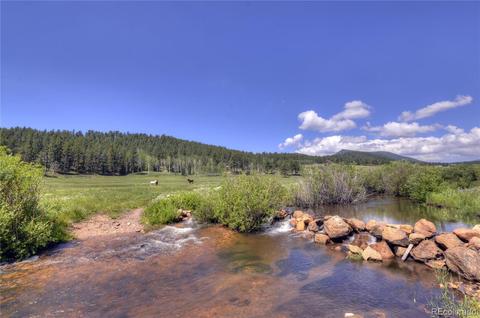 64441 Us Highway 285, Bailey, CO 80421 photo 6