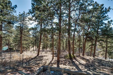33412 Nova Rd, Pine, CO 80470 photo 19