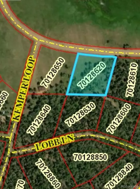 2941 Forbes Park Rd, Fort Garland, CO 81133