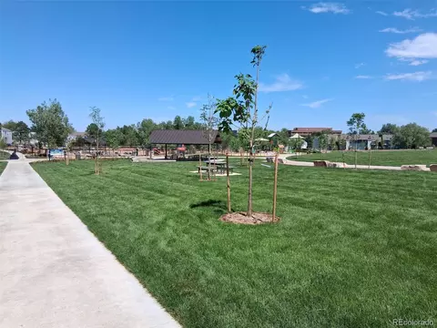 View/Area - 451 Wright St #13, Lakewood, CO 80228 photo 2 of 4