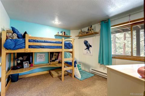 35 Spruce Dr, Lyons, CO 80540 photo 20