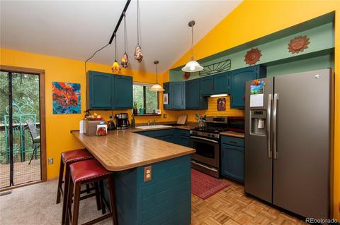 1576 Burland Dr, Bailey, CO 80421 photo 11