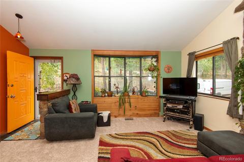 1576 Burland Dr, Bailey, CO 80421 photo 9