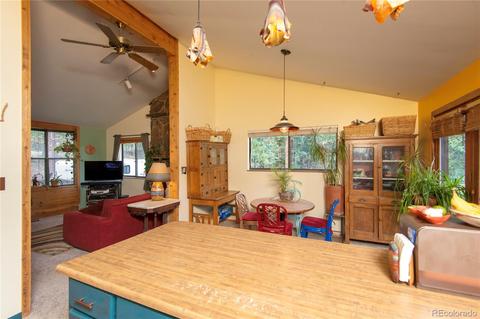1576 Burland Dr, Bailey, CO 80421 photo 14