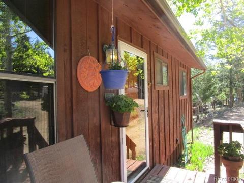 1576 Burland Dr, Bailey, CO 80421 photo 25