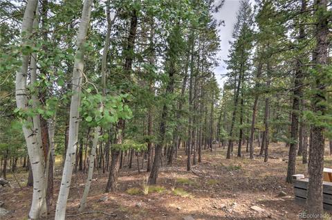 1576 Burland Dr, Bailey, CO 80421 photo 30