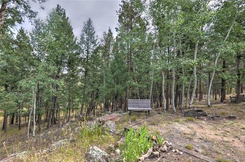 1576 Burland Dr, Bailey, CO 80421 photo 31