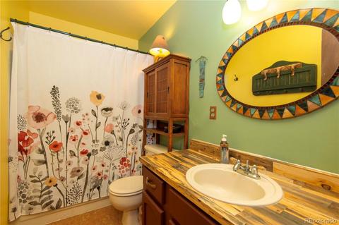 1576 Burland Dr, Bailey, CO 80421 photo 18