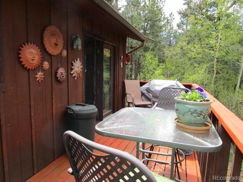 1576 Burland Dr, Bailey, CO 80421 photo 5