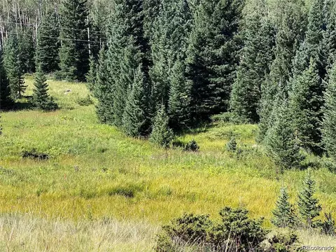 lot3141 Forbes Loop Rd, Fort Garland, CO 81133