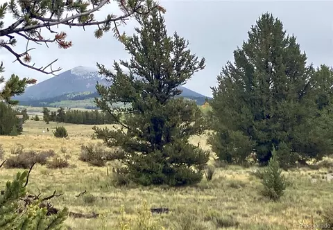 1344 Silverheels Rd, Fairplay, CO 80440