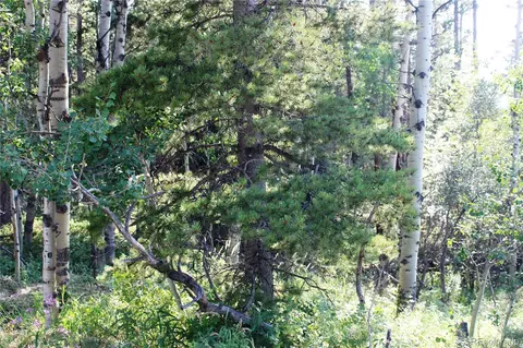 lot028 Sunflower Ln, Black Hawk, CO 80422
