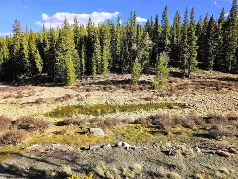 Pcs #7765 & 12057 Rollies Trail, Alma, CO 80420