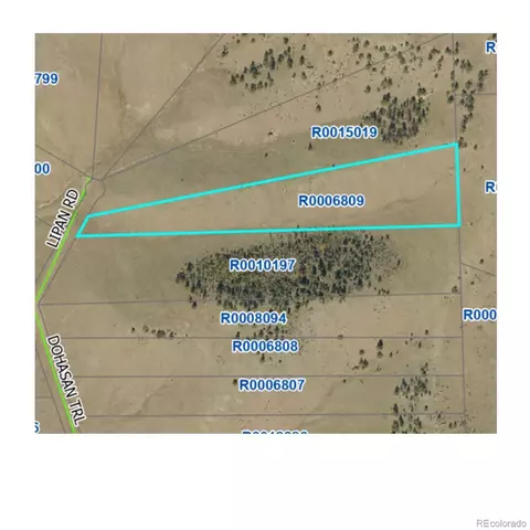 000 Lipan Rd, Hartsel, CO 80449