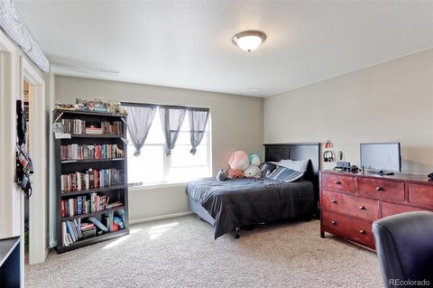 7851 E 139th Ave, Thornton, CO 80602 photo 18