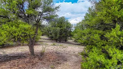 10766 Sawatch Range Rd, Salida, CO 81201 photo 9