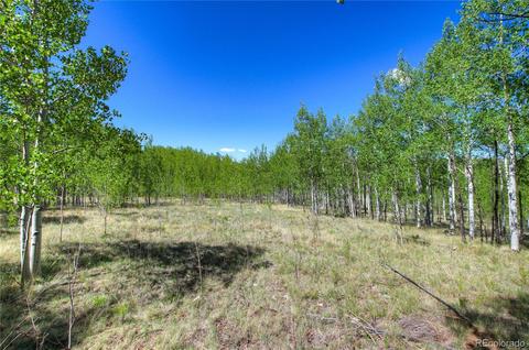 796 Night Hawk Cir, Como, CO 80432 photo 14