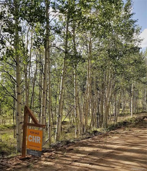 796 Night Hawk Cir, Como, CO 80432 photo 39