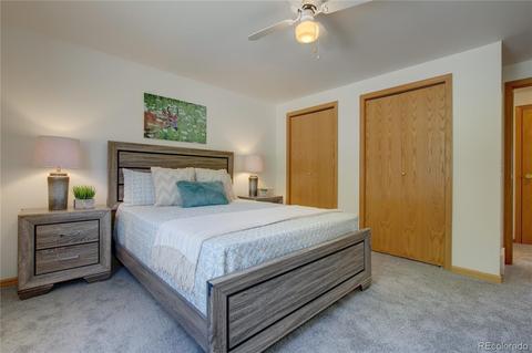 796 Night Hawk Cir, Como, CO 80432 photo 8