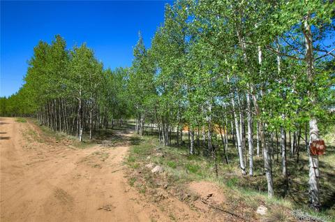 796 Night Hawk Cir, Como, CO 80432 photo 6
