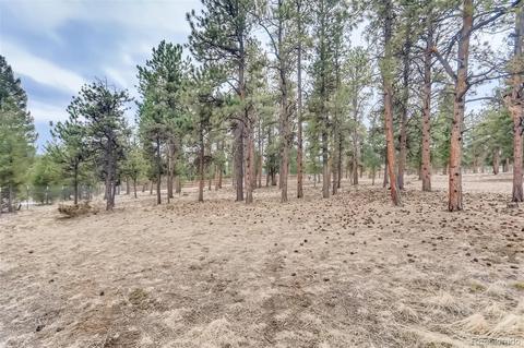 435 Dawson Rd, Pine, CO 80470 photo 26