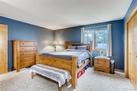 435 Dawson Rd, Pine, CO 80470 photo 13